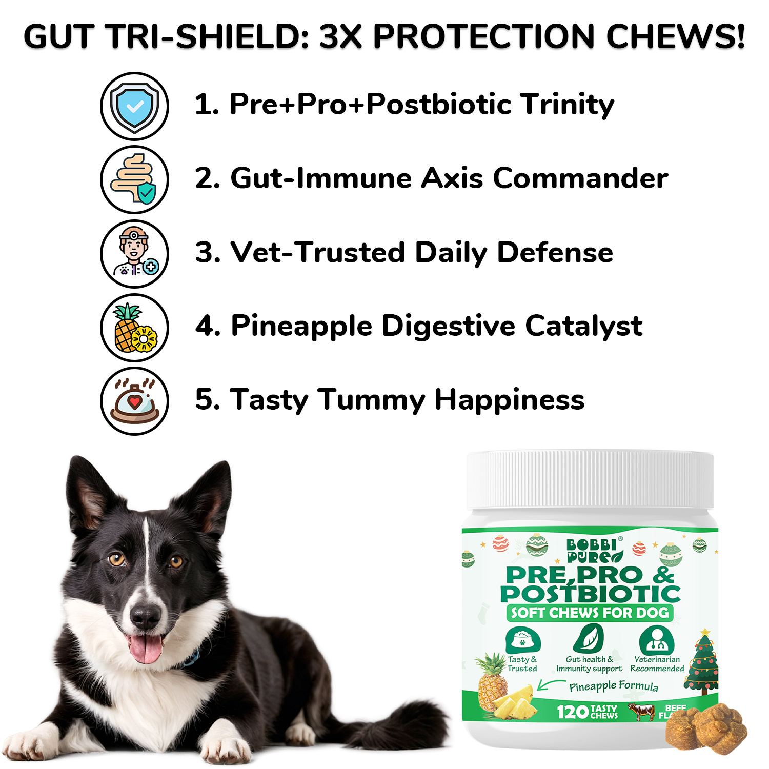 Private-Label-Soft-Chew-Nahrungsergänzungen — Probiotika für OEM Tiergesundheitsmarken